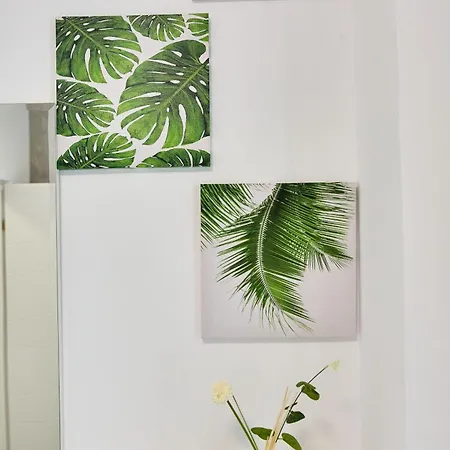 Apartment Tomis 2